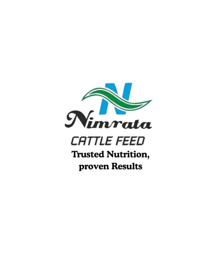 WhatsApp Image 2026-01-08 at 12.26.02 PM