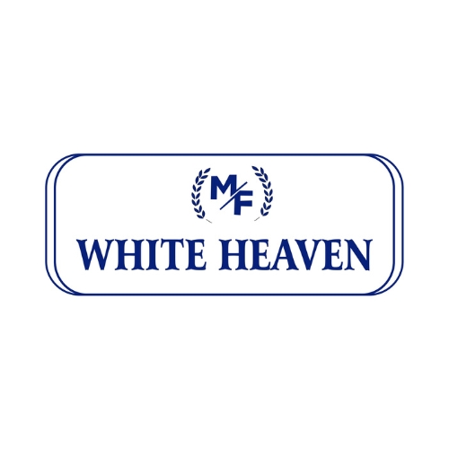 WhatsApp Image 2026-01-08 at 12.27.27 PM (1)